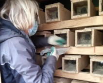 2021 Munnikenpolder - C=Toegang nestpijpen - Margot Klingers