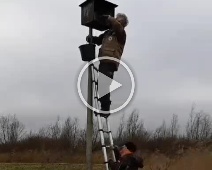 2023 Munnikenpolder - Valk - C=Nestkast reinigen - Margot Klingers