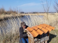 2021 - Munnikenpolder - Nieuw insectenhotel - Margot Klingers