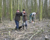 2010-2011-Landschapsbeheer-OmtrekkenBomen-MaKl