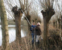 2013-2014-Landschapsbeheer-Knotten