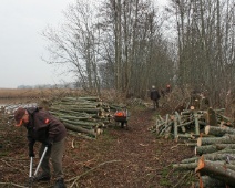 2017-2018 Spookverlaat - Afvoeren hout - Margot Klingers