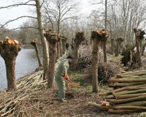 2017-2018 Spookverlaat - Knotwilg en slieten - Margot Klingers