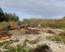 2019-2020 Spookverlaat - Eiland schoonmaken