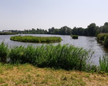 2021-09 Amalia - Met eiland Grauwe gans