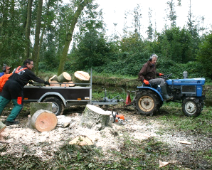 2021-2022 Landschapsbeheer - Dik hout - Margot Klingers