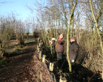 2021-2022 Landschapsbeheer - Luwte schotjes - Margot Klingers