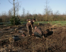 2021-2022 Landschapsbeheer - Nieuwe aanplant planten - Margot Klingers