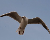 10-11-12okt 2014 weekend Texel met VWG 136