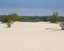 2023-05-14 09h17m29 Loonse En Drunense Duinen - Zandverstuiving - Gerda van der Meer