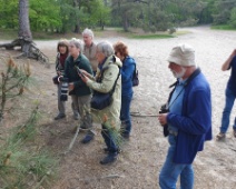 2023-05-14 10h06m00 Loonse En Drunense Duinen - Vogelaars - Johan Meijer