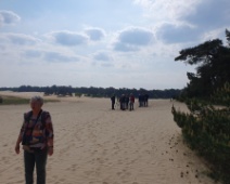 2023-05-14 10h21m22 Loonse En Drunense Duinen - Vogelaars - Johan Meijer