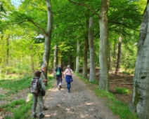 2023-05-14 13h24m19 Loonse En Drunense Duinen - Vogelaars - Johan Meijer