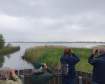 2023-05-15 13h16m38 Biesbosch - Vogelaars - Johan Meijer