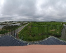 2023-05-15 15h03m44 Biesbosch - Vogelaars - Johan Meijer