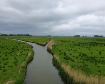 2023-05-15 15h04m04 Biesbosch - Vogelaars - Johan Meijer