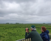 2023-05-15 15h04m12 Biesbosch - Vogelaars - Johan Meijer