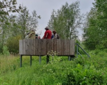 2023-05-15 Biesbosch - Vogelaars - Yolanda Calandt