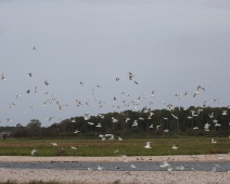 2023-10-07 11h06m55 Texel - Vogelvlucht - Gerda van der Meer