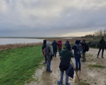 2023-11-25 09h45m49 Oostvaardersplassen - C=Spotten - Johan Meijer