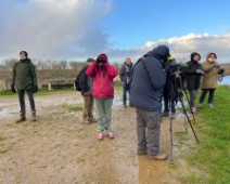 2023-11-25 09h47m16 Oostvaardersplassen - C=Fris - Gerda van der Meer