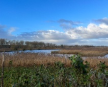 2023-11-25 09h50m34 Oostvaardersplassen - C=Onbekend - Gerda van der Meer