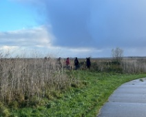 2023-11-25 09h52m59 Oostvaardersplassen - C=Op pad - Gerda van der Meer