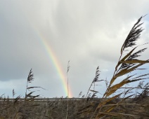 2023-11-25 10h01m01 Oostvaardersplassen - C=Regenboog - Gerda van der Meer