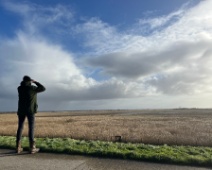 2023-11-25 12h54m05 Oostvaardersplassen - C=Uitzicht - Gerda van der Meer