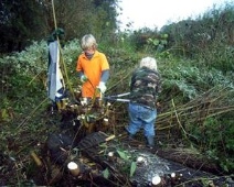 061104 Natuurwerkdag - Jong talent