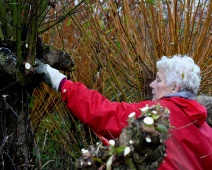 Natuurwerkdag 2008 021