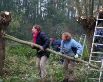 Natuurwerkdag 2008 025 Mooi recht stammetje. Wat kun je daar mee doen?