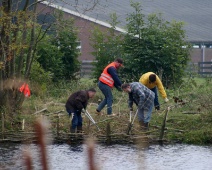 Natuurwerkdag 2008 026 Een knotploeg verwerkt de oogst direct tot een nieuwe overbescherming.