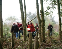 Natuurwerkdag 2008 029 Zetten ze die boom nou neer of gaat die neer?