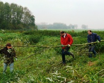 Natuurwerkdag 2008 037 De heren hebben goede hulp (nodig)?