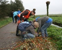 3-11-2012-knotten, natuurwerkdag 048