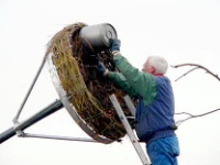 2005-01-29e Spookverlaat - Ooievaars schijnen een rommeltje als begin heerlijk te vinden - Adri de Groot